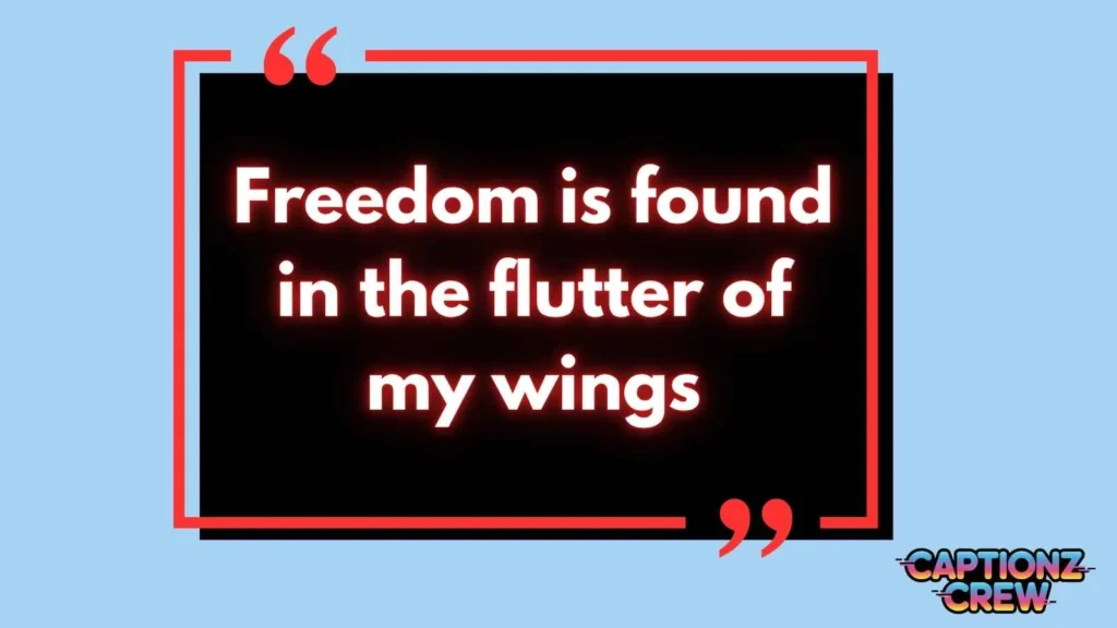 Butterfly Tattoo Quotes for Instagram