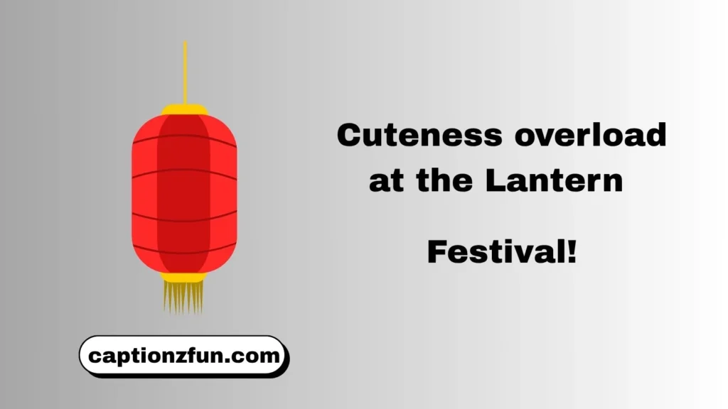 Cute Lantern Festival Captions