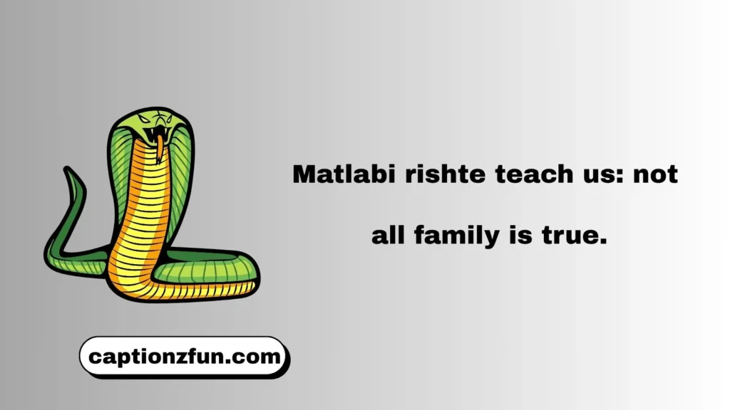 Family Problems & Family Matlabi Rishte Quotes
