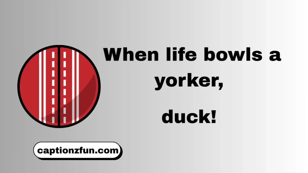 Funny Cricket captions
