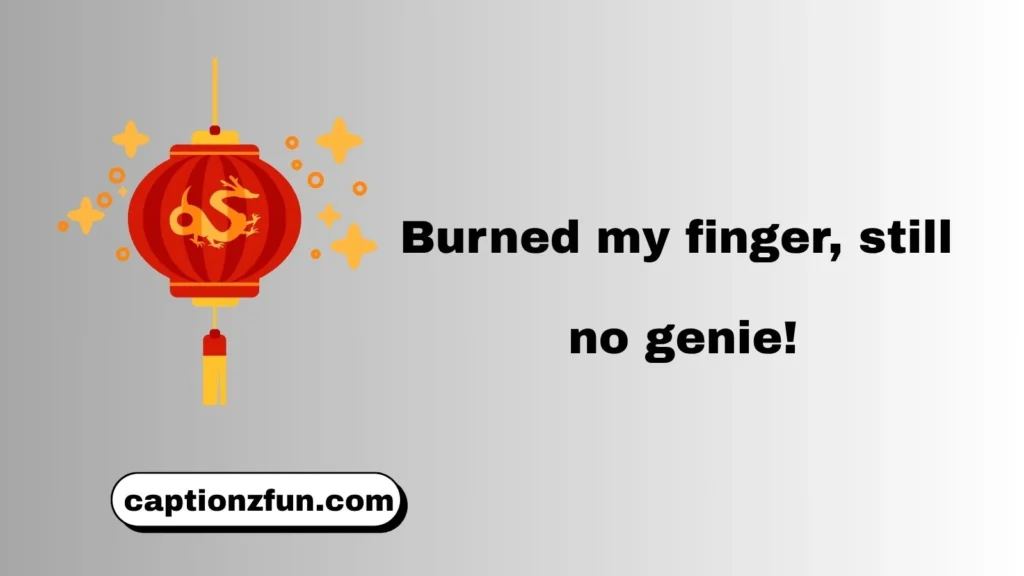 Funny Lantern Festival Captions