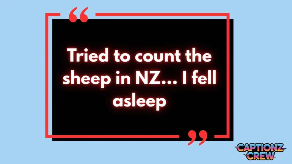 Funny New Zealand Captions