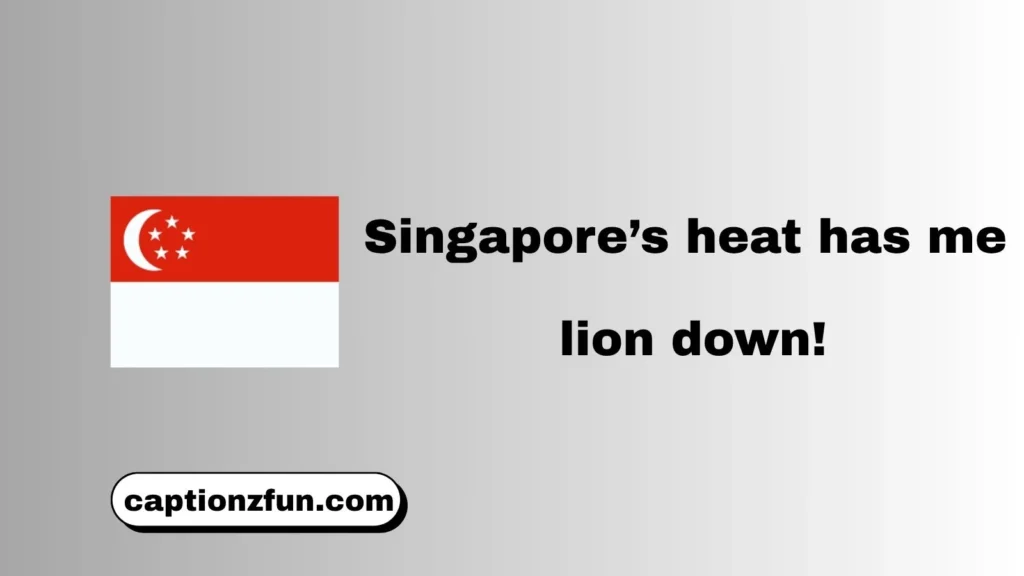 Funny Singapore Puns