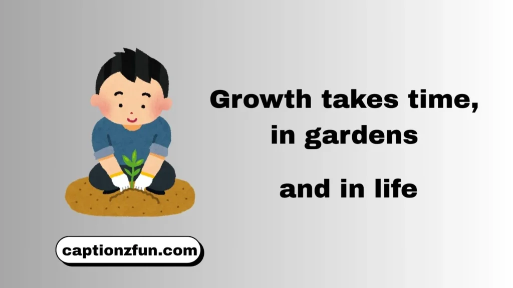 Garden Quotes About Life
