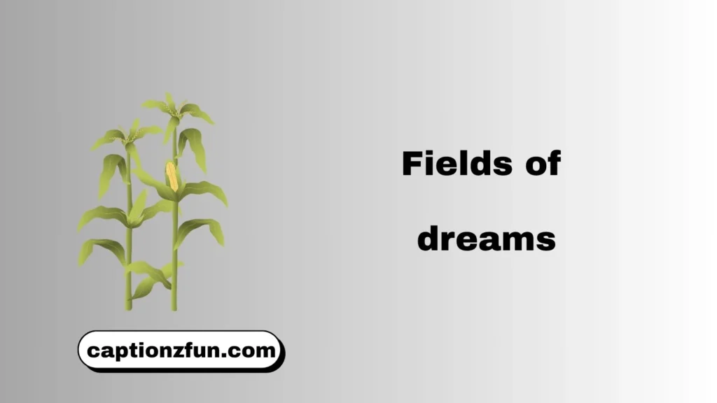 Short Farm Captions for Instagram