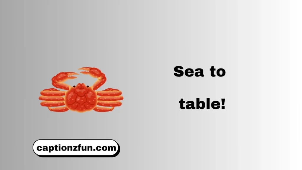 Short Seafood Captions For Instagram