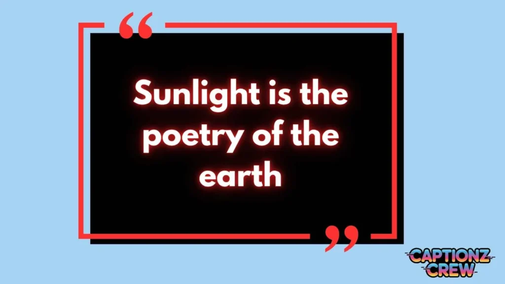 Sun-Kissed Quotes
