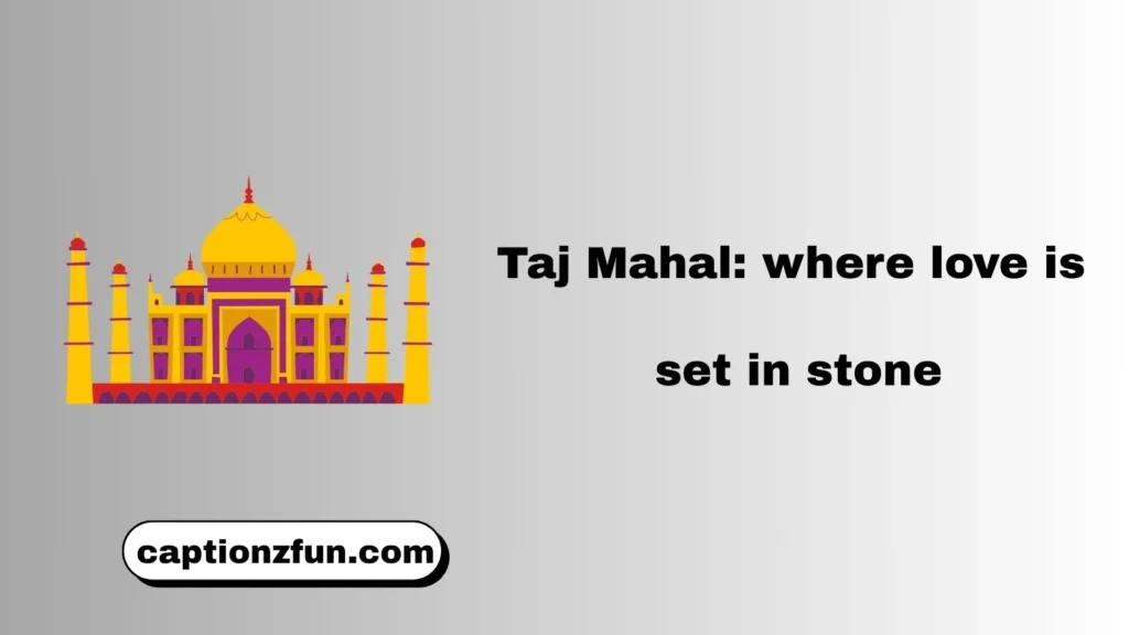 Taj Mahal Puns For Instagram 