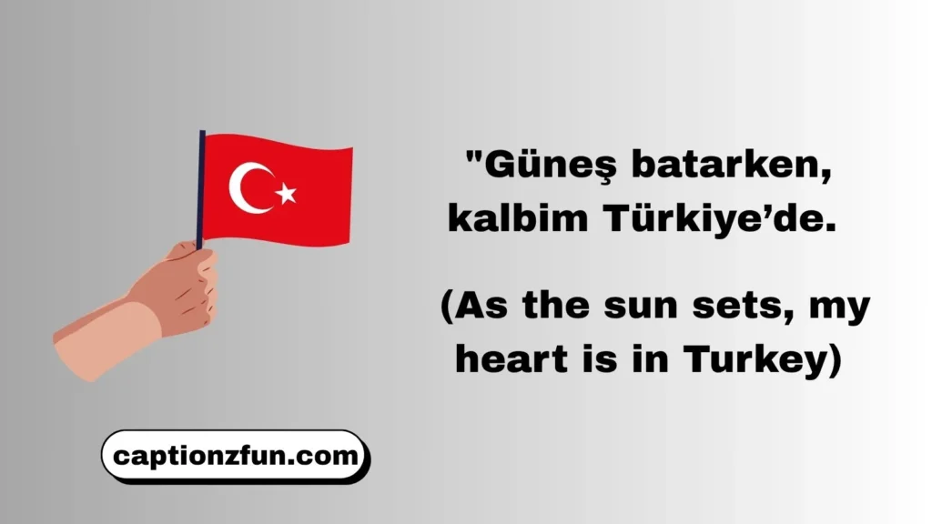 Turkish Captions for Instagram with Translation