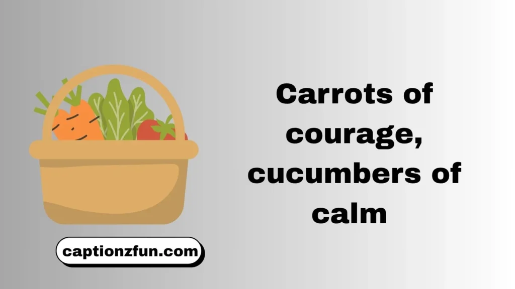 Vegetable Garden
